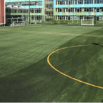 Synthetic Turf Company Ltd