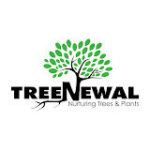 TreeNewal, Certified Arborist