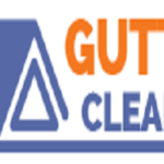 Gutter Cleaning