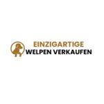 Einzigartige Welpen Verkaufen