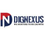 Dignexus- You Perfect Website Partner