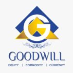 Goodwill Wealth Management Pvt Ltd (PERMABUR)