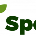 Tree Surgeons in South London – Branch Specialist Ltd