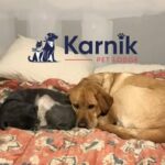 Karnik Pet Lodge at Maple Village