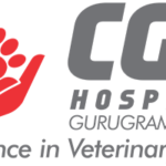 Cat Boarding Delhi | CGS Hospital Sarojini Nagar