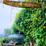 Discover the Best Resorts and Private Cottage in Kodaikanal: Luxury Stays in Vattakanal for Couples & Families