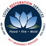 Lotus Restoration