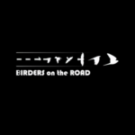 BIRDERS on the ROAD