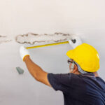 Lifespan Systems Inc