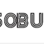 50bulbs inc.