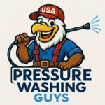 Pressure Washing Guys