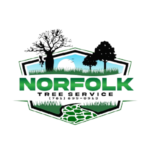 Norfolk Tree Service, LLC