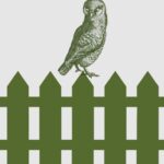 Casselberry Fence Experts
