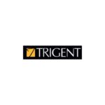 trigent software