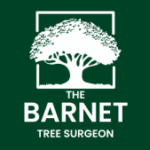 The Barnet Tree Surgeon