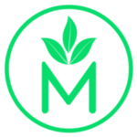 Evergreen Mentorship