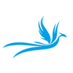 Largest Online B2B Drone Marketplace – Beyond SKY