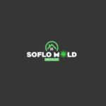 Soflo Mold Specialist