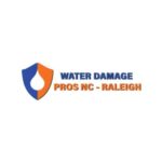 the Water Damage Pros Raleigh nc