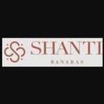 Shanti Banaras – Banarasi Silk Georgette Saree in Delhi