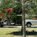 Lumberjack Tree Care