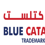 BLUE CATALYST TRADEMARK SERVICES LLC
