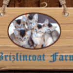 Brizlincoat Farm