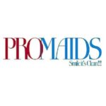 Pro Maids LLC – Michigan’s Professional Cleaning Experts
