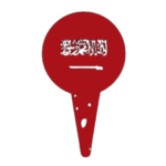 Saudia Taxi