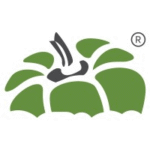 Capsicum Mediaworks – SEO Company in Mumbai
