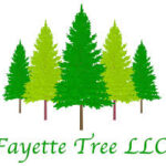 Fayette Tree