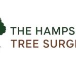 Hampshire Tree Surgeon
