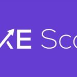 sme scale