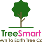 Tree Smart | Safe Tree Felling Rotherham