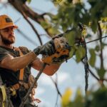 EastLake Tree Services