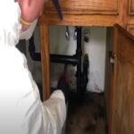 Urgent Mold Removal Denver