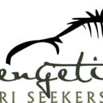 serengetisafariseekers.com
