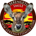 Serengeti Smile: Your Gateway to Unforgettable Safaris in Tanzania