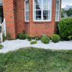Jacobs Lawncare Doctors