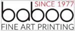 Baboo Digital