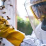 Allen Bee Hive Rescue Services