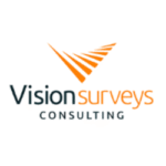 Vision Surveys Consulting